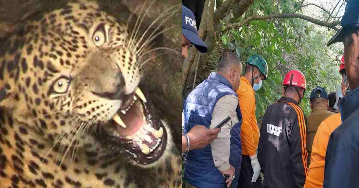 manbar Bisht died in leopard guldar attack chopra Rudraprayag uttarakhand latest news today