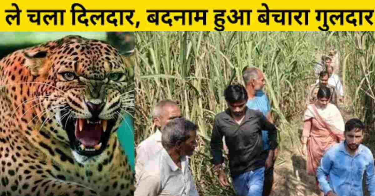 daughter found with her lover in Dehradun, family said killed guldar Leopard attack in Bijnor Uttar Pradesh Uttarakhand news today