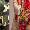 Groom Family told fake story of SSB jawan cheated 2.77 lakhs and rape woman name of marriage crime news in khatima udham Singh Nagar Uttarakhand live