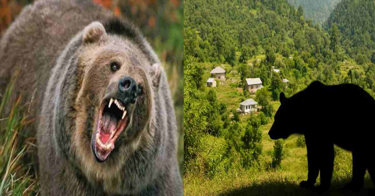 Basanti devi shahi of talla johar Munsiyari, died in bear attack Pithoragarh Uttarakhand news today