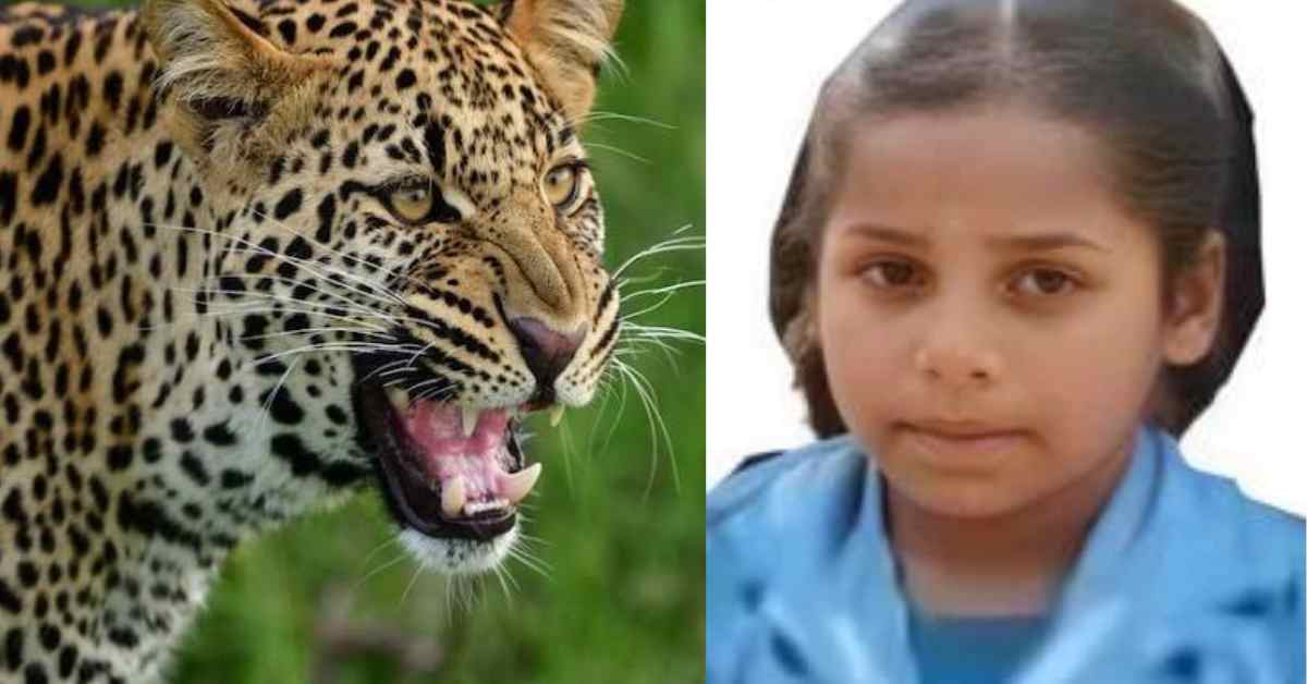 yogita saved by her grandmother Govindi leopard guldar attack berinag Pithoragarh Uttarakhand news live today