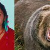Ambika aswal died in bhatwari Uttarkashi due to fell into ditch during bear attack Uttarakhand news today