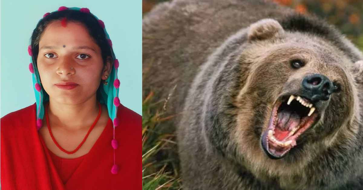 Ambika aswal died in bhatwari Uttarkashi due to fell into ditch during bear attack Uttarakhand news today