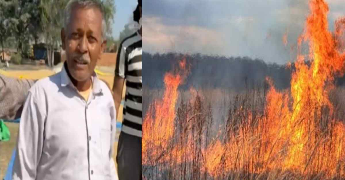 Uttarakhand farmer chandrapal kichha daru worried daughter's wedding, burned entire rice paddy crop latest news today