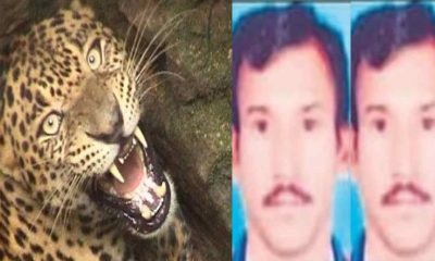 bhuwan ram of mangoli guldar attack killed lohaghat champawat Uttarakhand news today