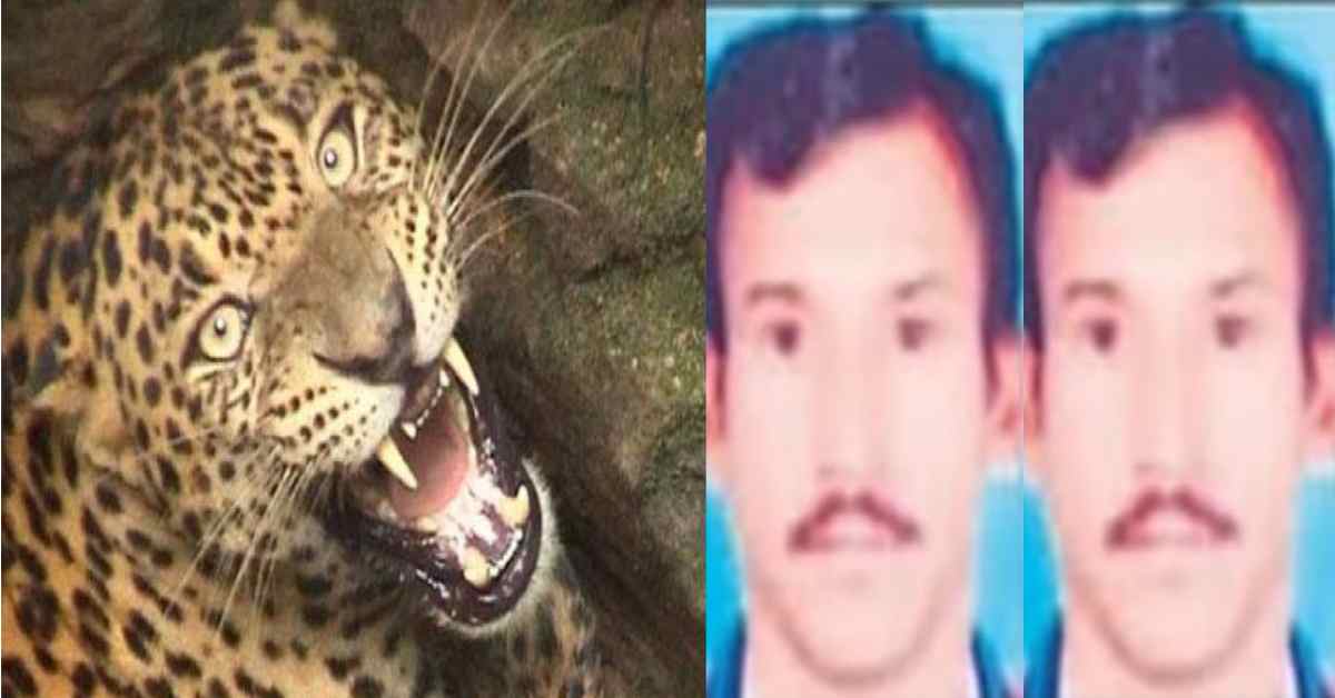 bhuwan ram of mangoli guldar attack killed lohaghat champawat Uttarakhand news today