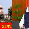 Supreme Court rejects review petition of govt related to UPNL employee uttarakhand breaking news today