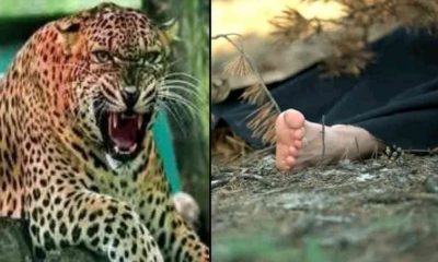 Women ginni devi died in guldar attack khirsu block pauri Garhwal Uttarakhand latest news today