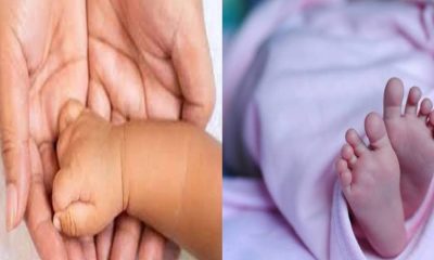 Decomposed body of newborn found in Dehradun Sahaspur Teachers Colony uttarakhand latest news today.