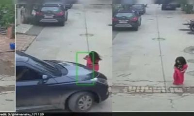 riya Chauhan died in car Accident kankhal haridwar uttarakhand latest news today