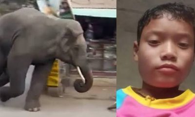 An elephant killed 12 years old kunal thapa riding scooty with parents dehradun uttrakhand latest news today.