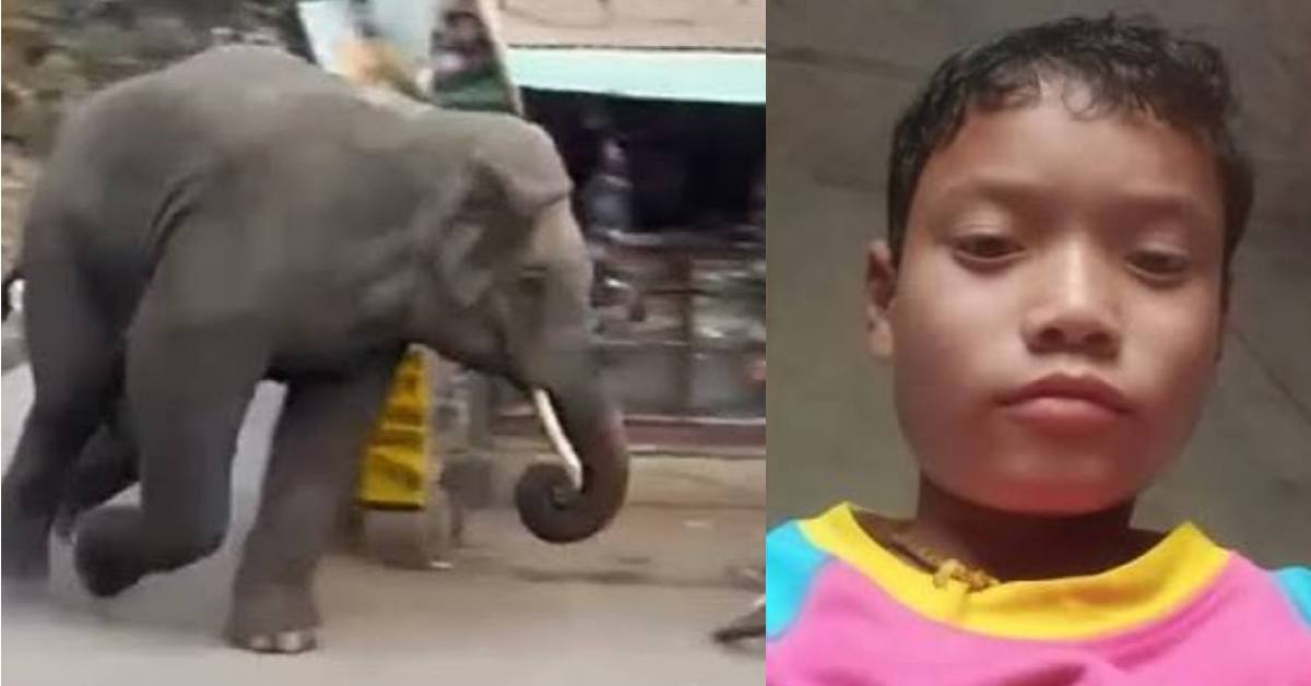 An elephant killed 12 years old kunal thapa riding scooty with parents dehradun uttrakhand latest news today.