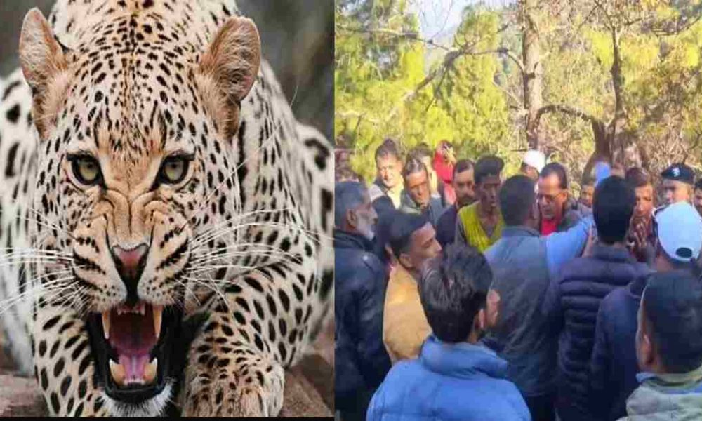 rajendra nautiyal killed died guldar attack satyakhal pauri Garhwal Uttarakhand latest news today