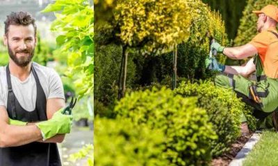 Uttarakhand govt job Recruitment vacancy for 415 gardener posts in Horticulture Department 2025 latest news today