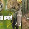 Uttarakhand wildlife conflict news School children get escort facility action taken against DFO Pauri latest update today