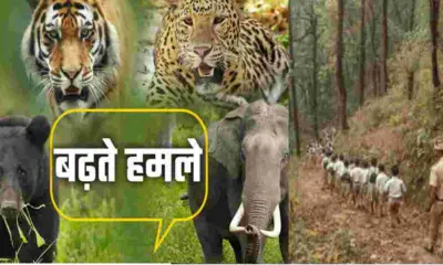 Uttarakhand wildlife conflict news School children get escort facility action taken against DFO Pauri latest update today