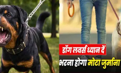 Dehradun dog news: pet owners beware, fine for disturbing people and barking uttarakhand latest update