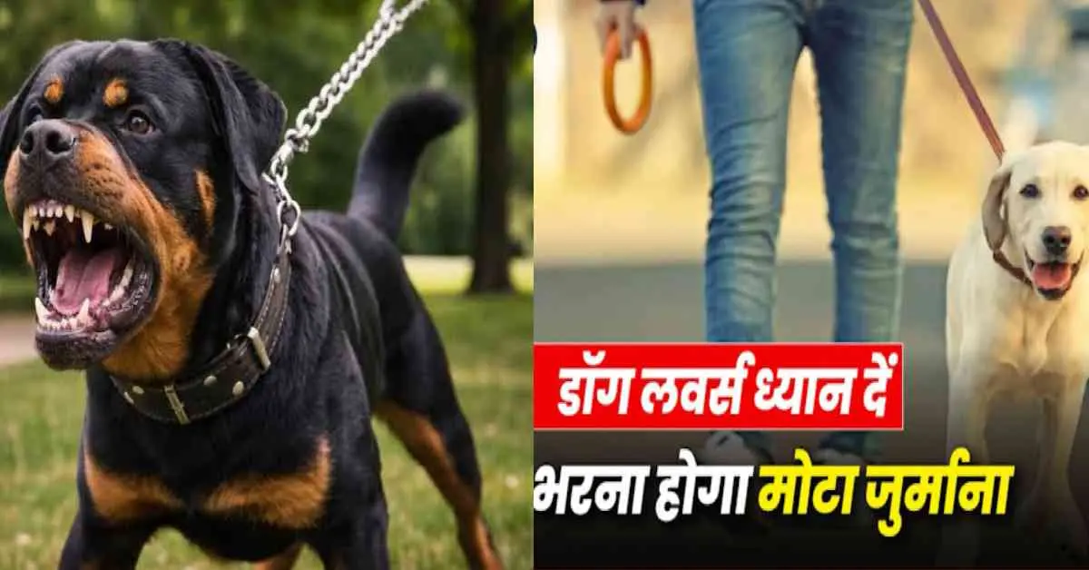 Dehradun dog news: pet owners beware, fine for disturbing people and barking uttarakhand latest update