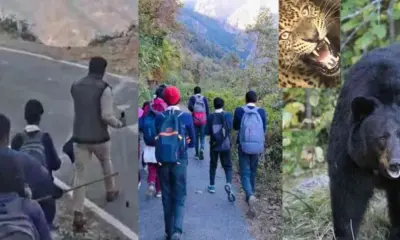 Rudraprayag guldar bear school news timing change student due to terror free vehicle service latest update today