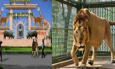 Uttarkashi zoo news may open a zoo in new year 2026 uttarakhand district latest update today