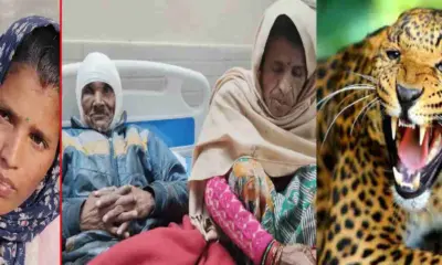 Uttarakhand Almora guldar attack news Geeta became a shield on her father