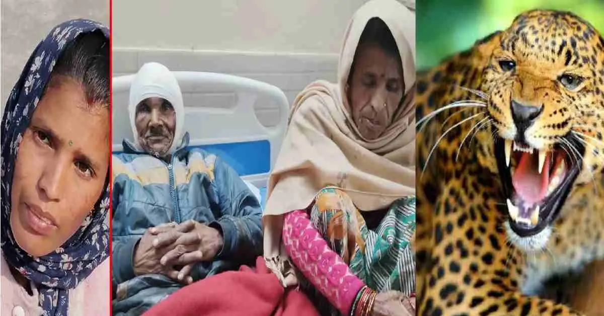 Uttarakhand Almora guldar attack news Geeta became a shield on her father