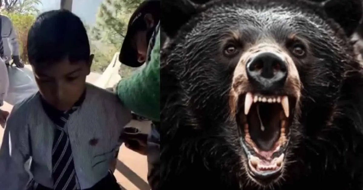 Chamoli Bear Attack in Pokhari School, student seriously injured uttarakhand latest news today