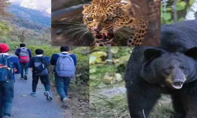 chamoli bear guldar school timing change uttarakhand breaking news today: