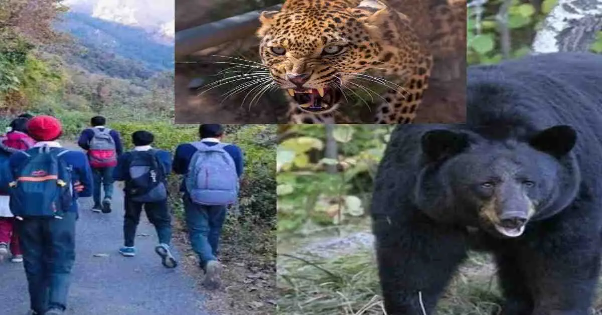 chamoli bear guldar school timing change uttarakhand breaking news today: