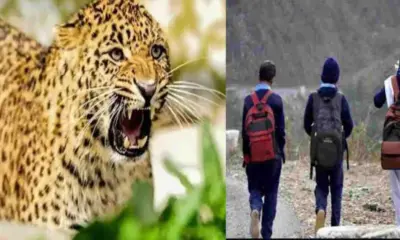 bhimtal school closed guldar nainital Uttarakhand news today