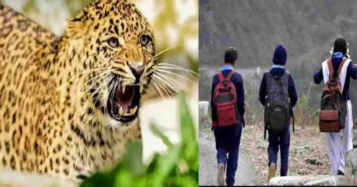 bhimtal school closed guldar nainital Uttarakhand news today