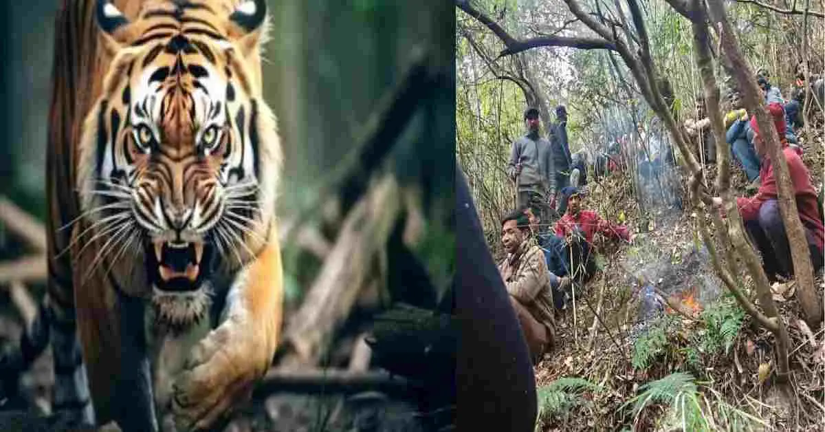 women hema bargali died in dini talli dhari Nainital leopard attack uttarakhand breaking news today