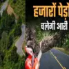 Champawat bypass news: for 10 km road cutting 1882 cedar pine trees uttarakhand latest news today