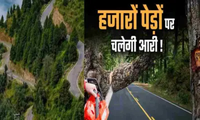 Champawat bypass news: for 10 km road cutting 1882 cedar pine trees uttarakhand latest news today