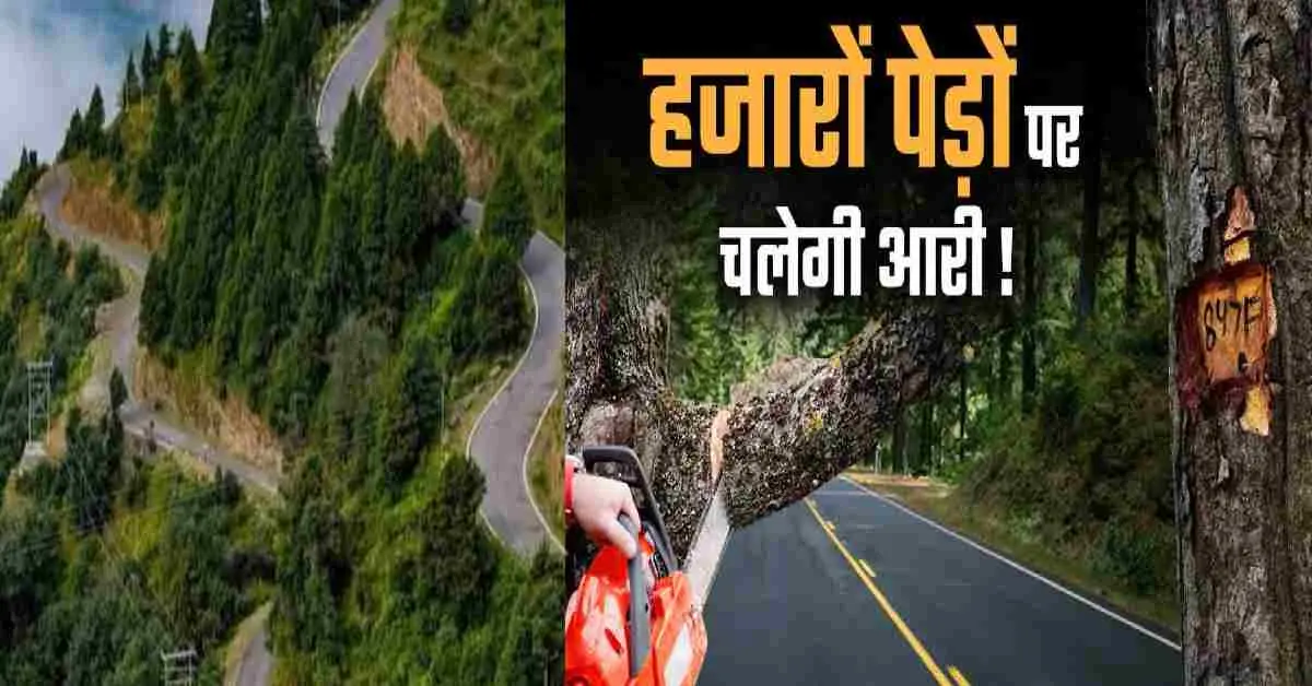 Champawat bypass news: for 10 km road cutting 1882 cedar pine trees uttarakhand latest news today