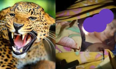 Urmila devi of rikhanikhal pauri Garhwal died in guldar attack uttarakhand latest news live today.