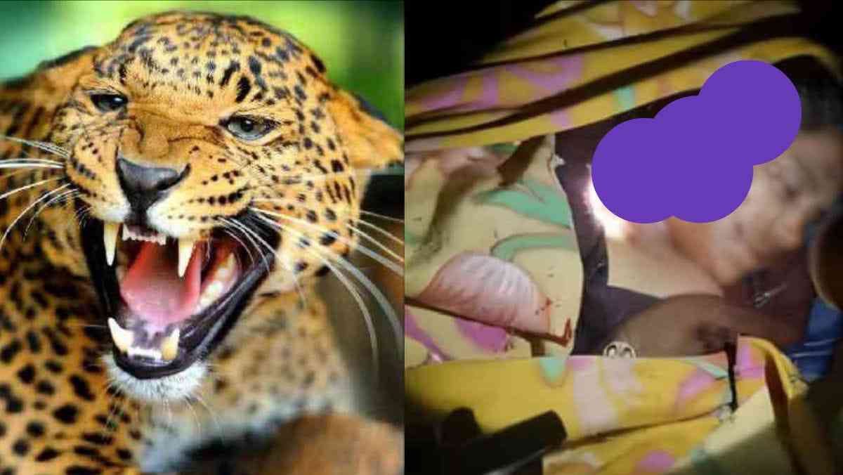 Urmila devi of rikhanikhal pauri Garhwal died in guldar attack uttarakhand latest news live today.