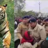 Ramnagar Tiger attack news Jim Corbett National Park area sawaldey