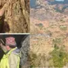 Pauri Garhwal News Signs of copper deposits found in Khirsu Dobri cave uttarakhand breaking