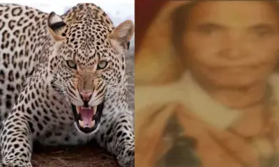 Bageshwar news today missing women devki devi dead body found mankot forest leopard attack uttarakhand breaking: