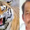 khatima tiger attack today: sher singh kanyal died in surai range udham Singh Nagar Uttarakhand news