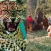 pauri guldar attack today news: laksman bahadur died bara village garhwal uttarakhand breaking: