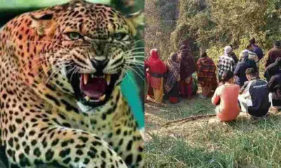 pauri guldar attack today news: laksman bahadur died bara village garhwal uttarakhand breaking: