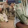 Uttarakhand breaking news hindi stray animals