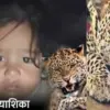 kotdwar guldar attack today: 1.5 years old yashika died in jaiharikhal lansdowne pauri Garhwal Uttarakhand update
