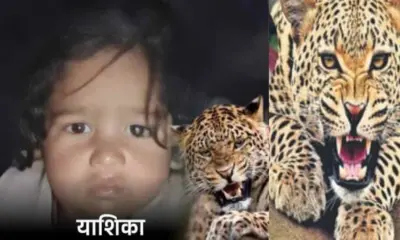 kotdwar guldar attack today: 1.5 years old yashika died in jaiharikhal lansdowne pauri Garhwal Uttarakhand update