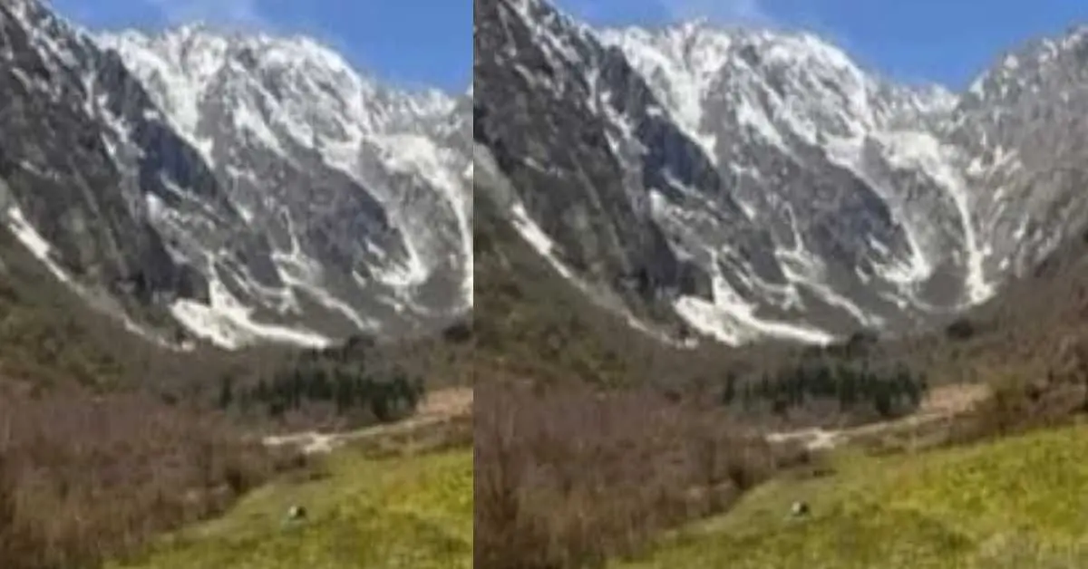 Om Parvat Pithoragarh: second historical mountain found in Nagling village of darma valley uttarakhand news