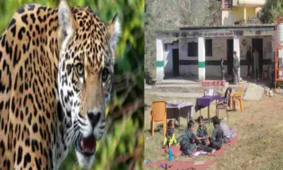 Rudraprayag school holiday guldar: terror after leopard attack daksh Bisht 8 schools closed uttarakhand breaking news today.