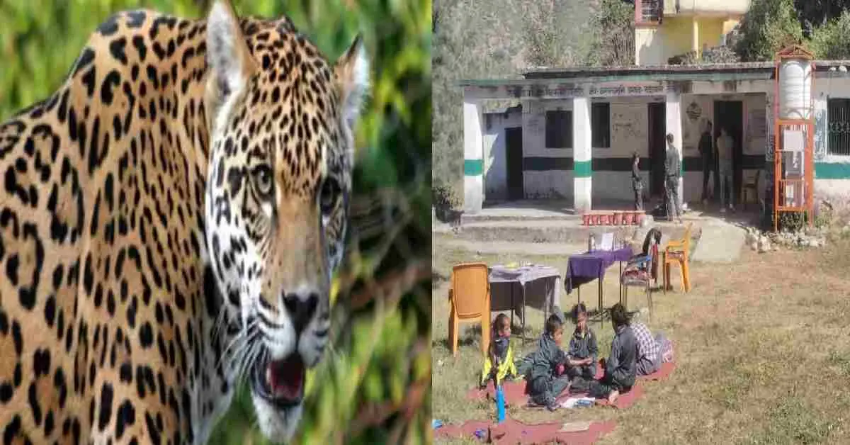 Rudraprayag school holiday guldar: terror after leopard attack daksh Bisht 8 schools closed uttarakhand breaking news today.