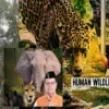 dehradun news live today: youth died due to electric shock current during wilds attack uttarakhand breaking